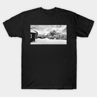 Seagulls in Waiting T-Shirt